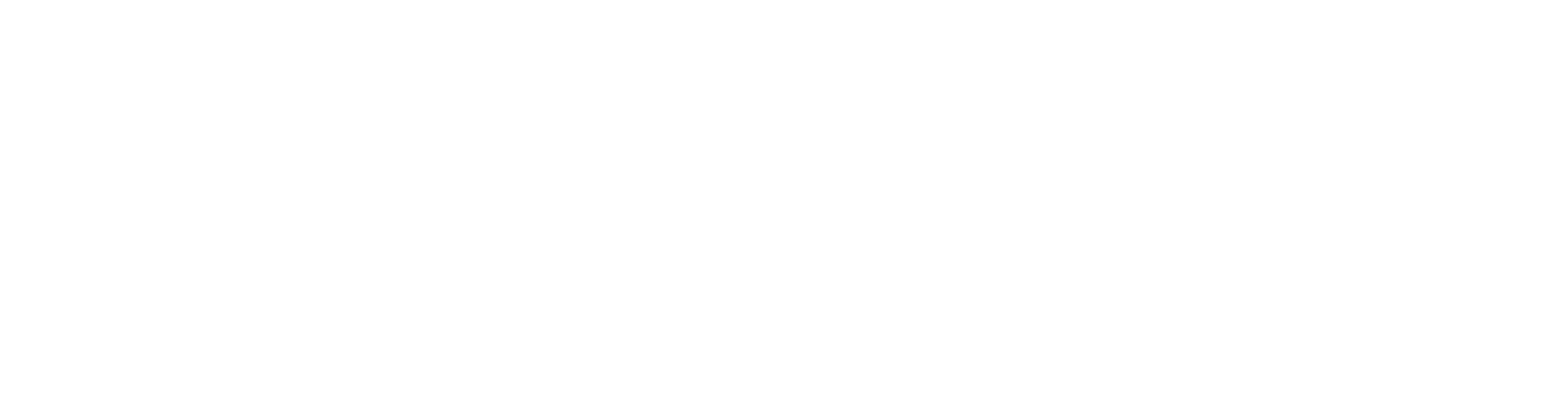 Logo Dotmap Expérience Blanc