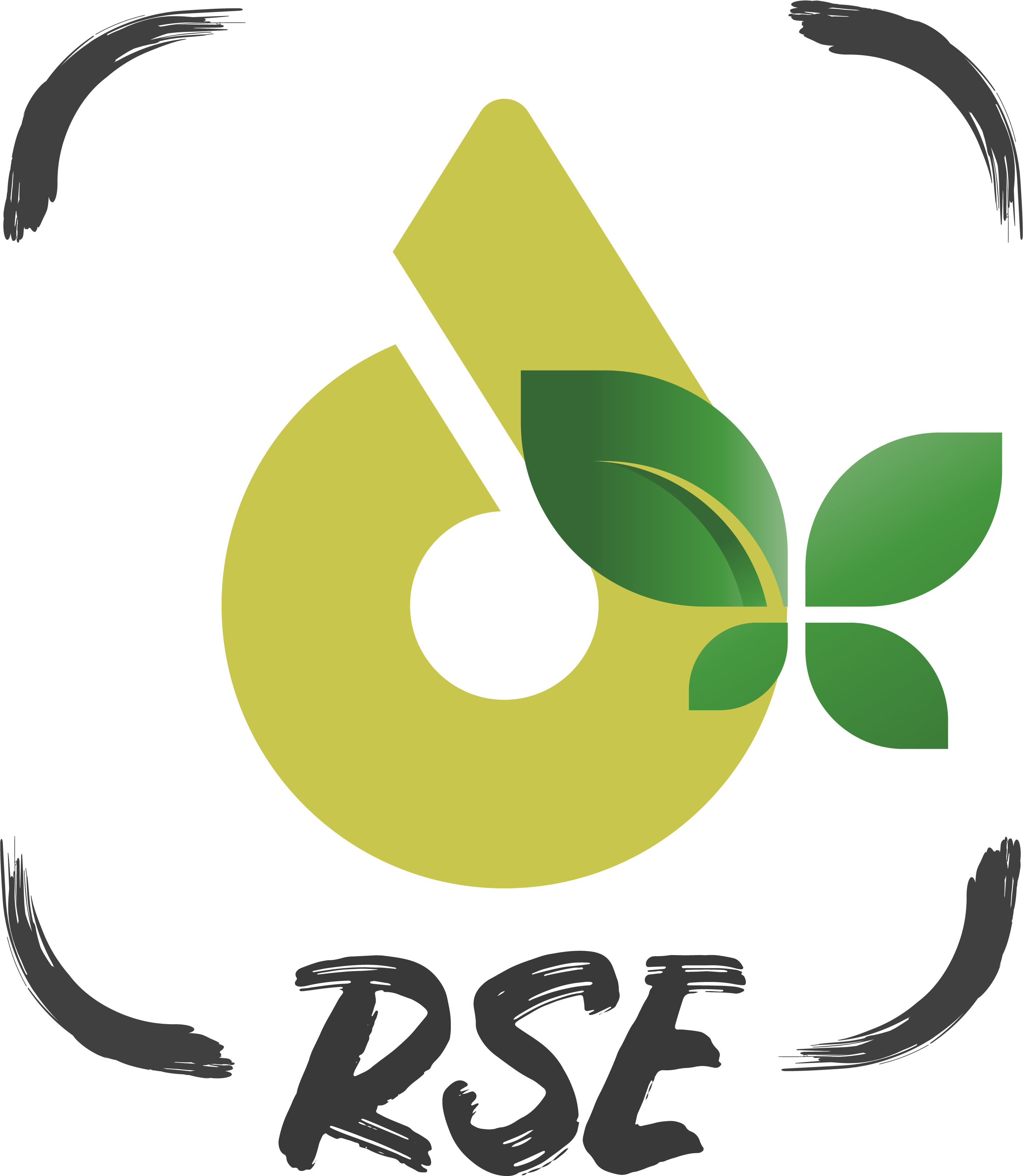 Activité RSE - dotmap-experience